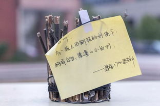 創(chuàng)意制作，一起開開腦洞