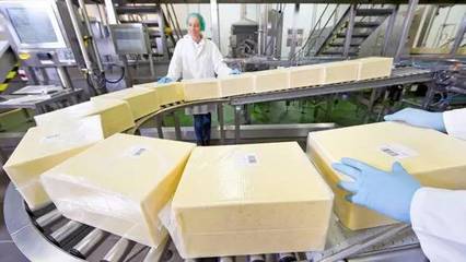 恒天然斥資2000萬(wàn)擴(kuò)建工廠，全力擁抱中國(guó)奶酪市場(chǎng)新浪潮